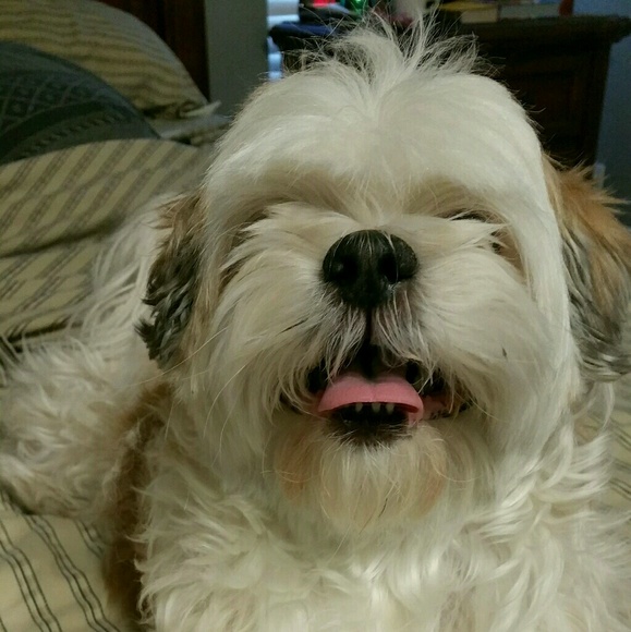 Meet your Posher, Hanna - Picture 1 of 1